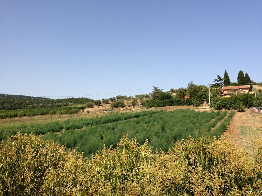 Agriturismo San Mauro Capalbio Luaran gambar