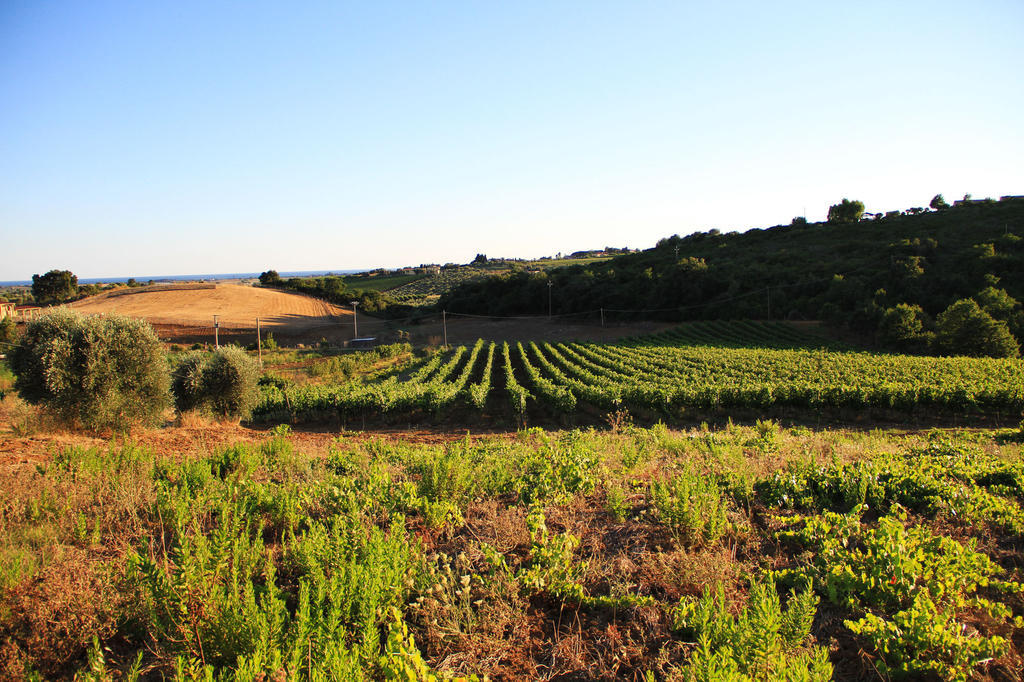 Agriturismo San Mauro Capalbio Luaran gambar