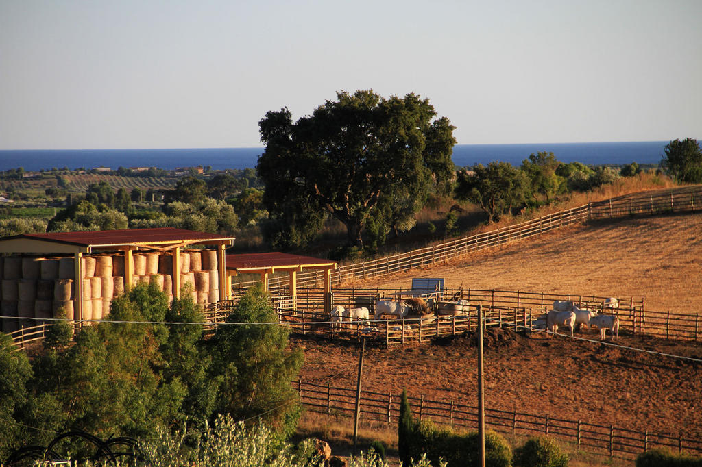 Agriturismo San Mauro Capalbio Luaran gambar