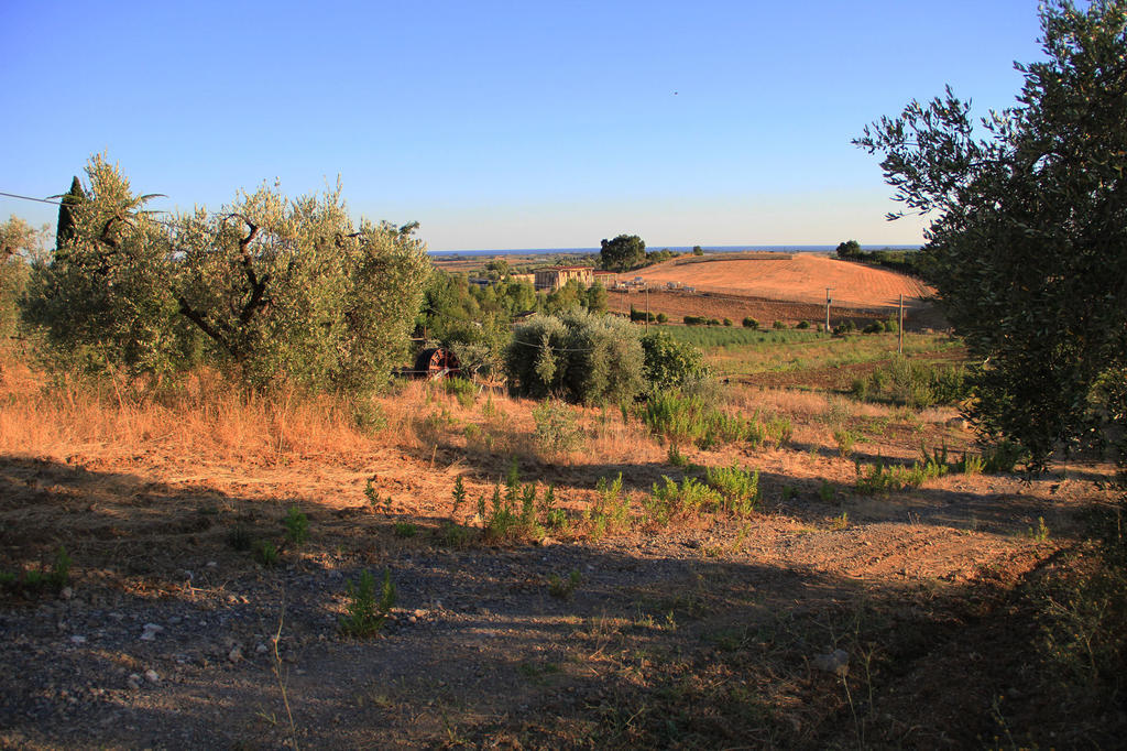 Agriturismo San Mauro Capalbio Luaran gambar